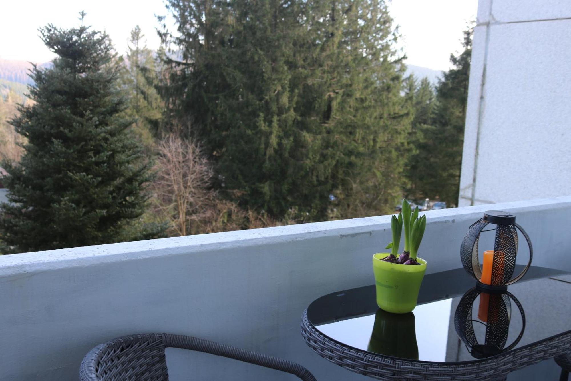 Natur Suite Goslar Exterior foto
